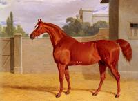 Herring, John Frederick Jr - Comus, A Chestnut Racehorse in a Stable Yard